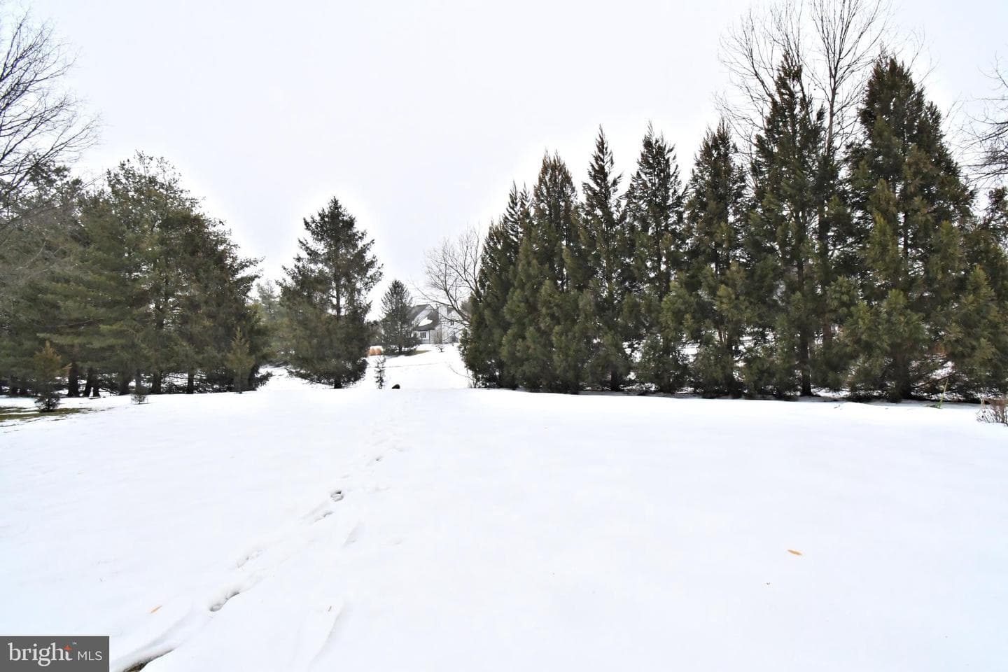 83 Rocking Horse Way photo 72