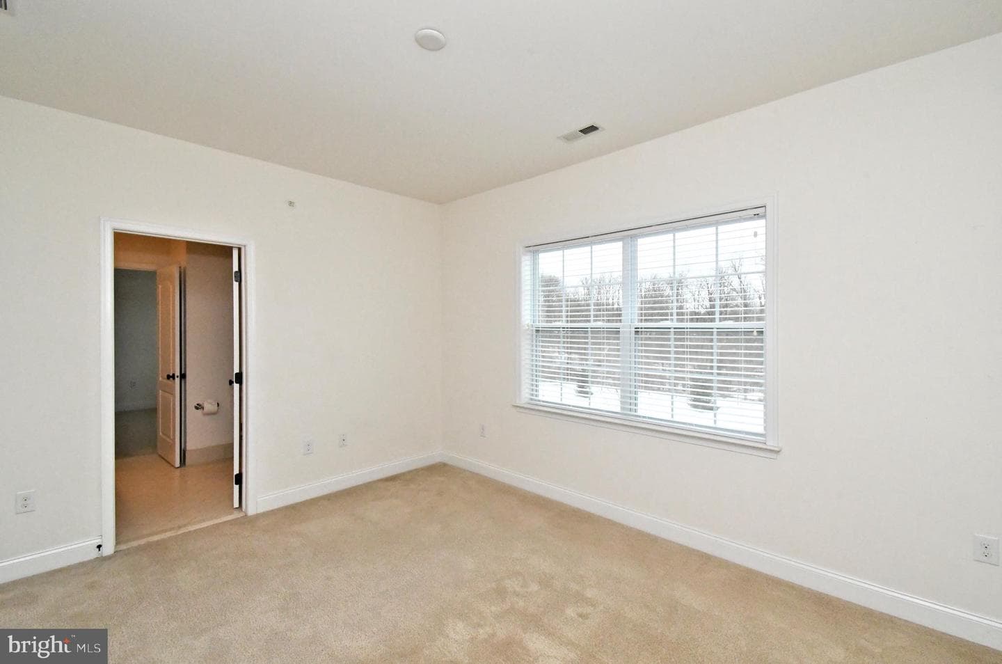 2804 Hoffs Way photo 45