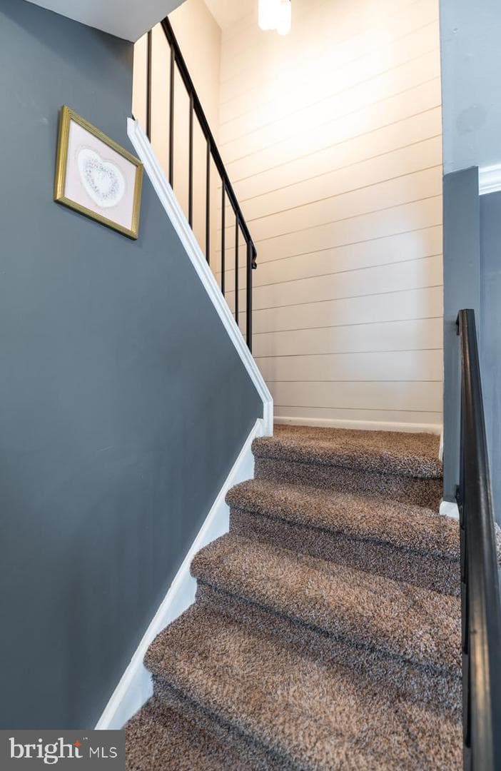 54 Ivy Court photo 21