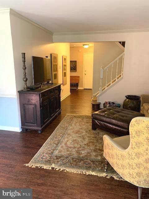 17 Randolph Court photo 10