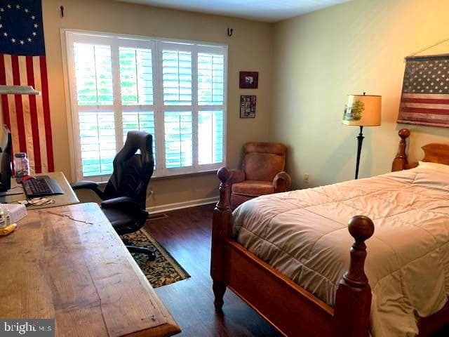 17 Randolph Court photo 20