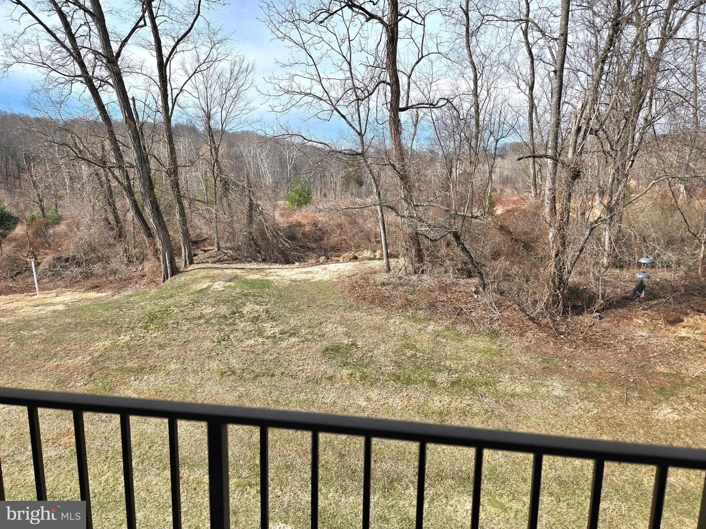 66 Hermitage Drive photo 6