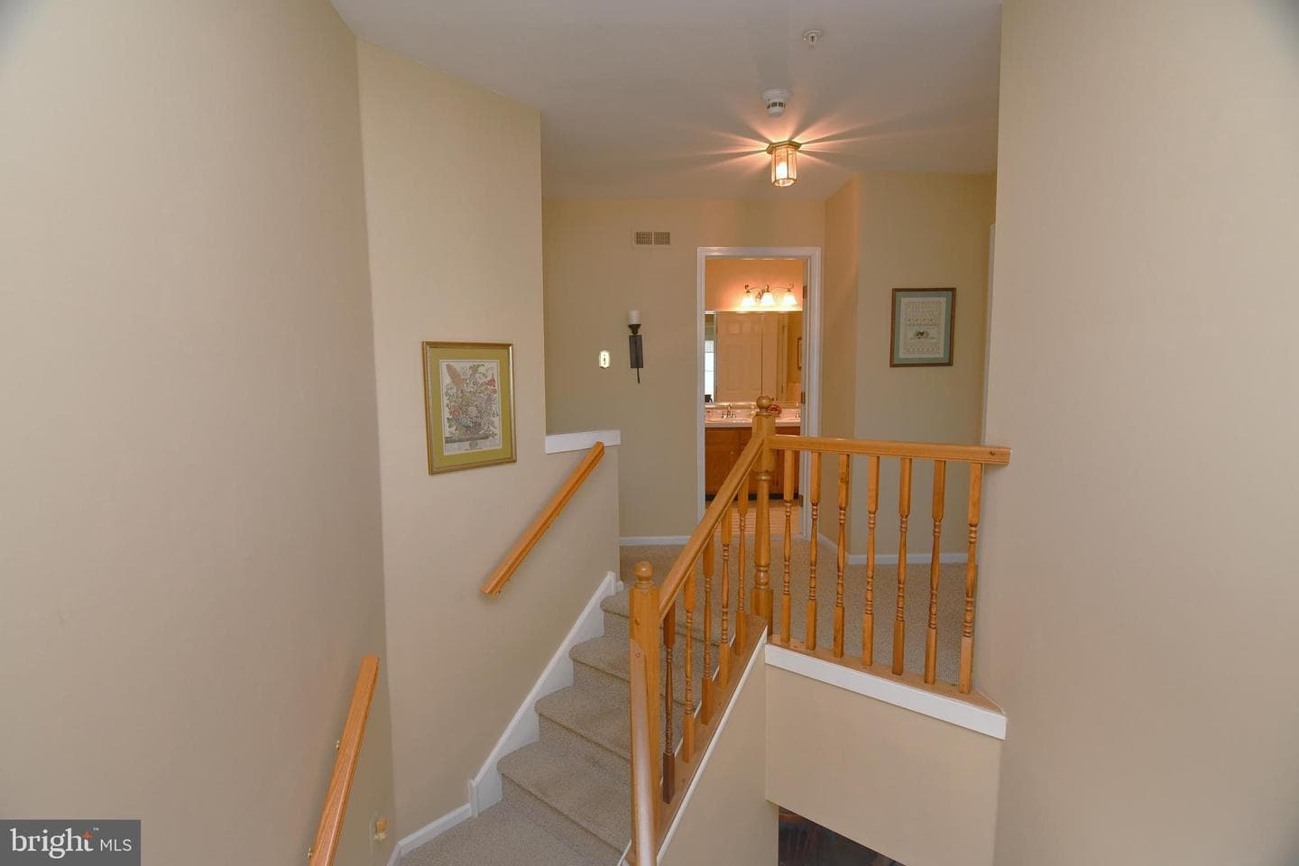 1646 Rockcress Drive photo 15