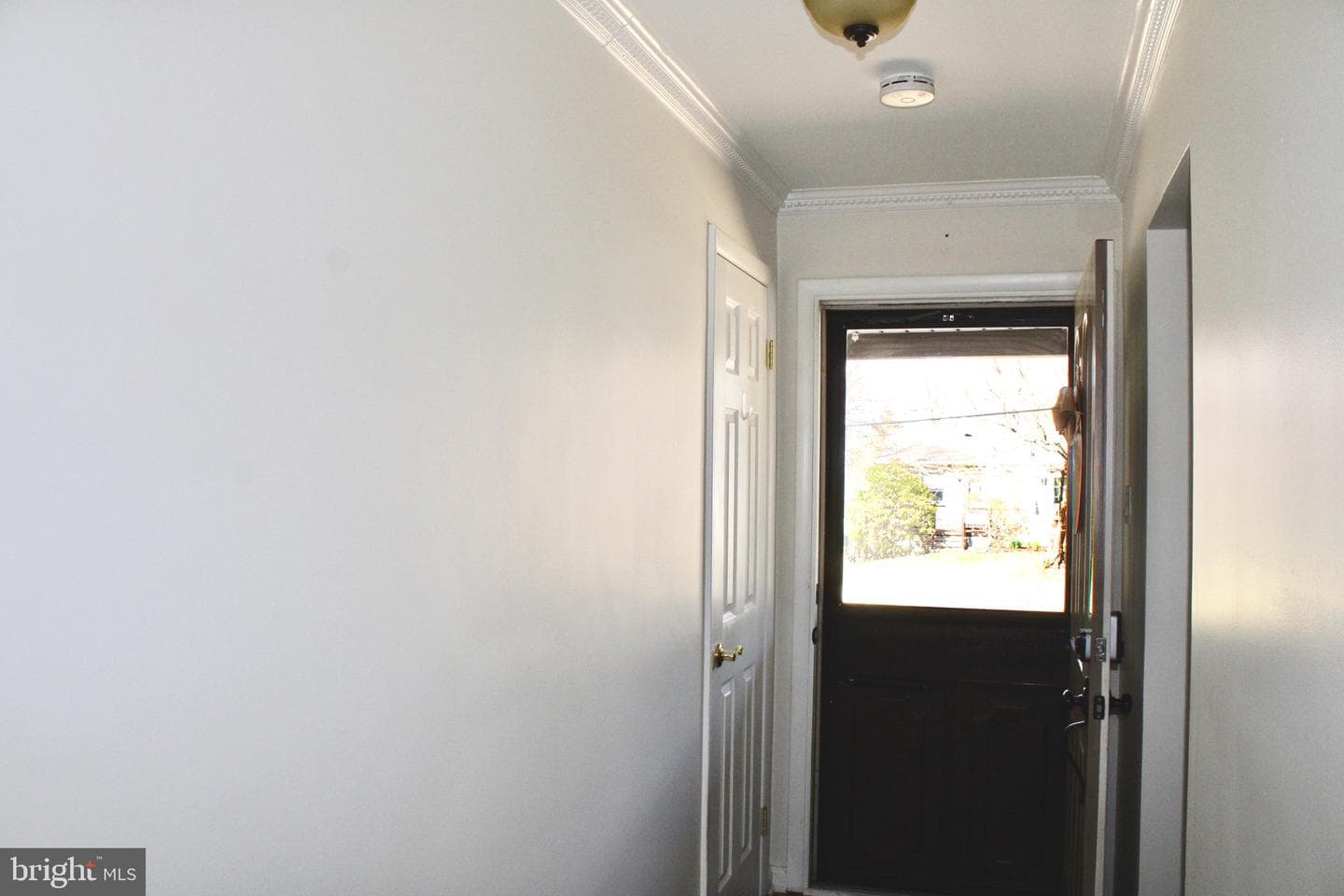 174 Hershel Street photo 31