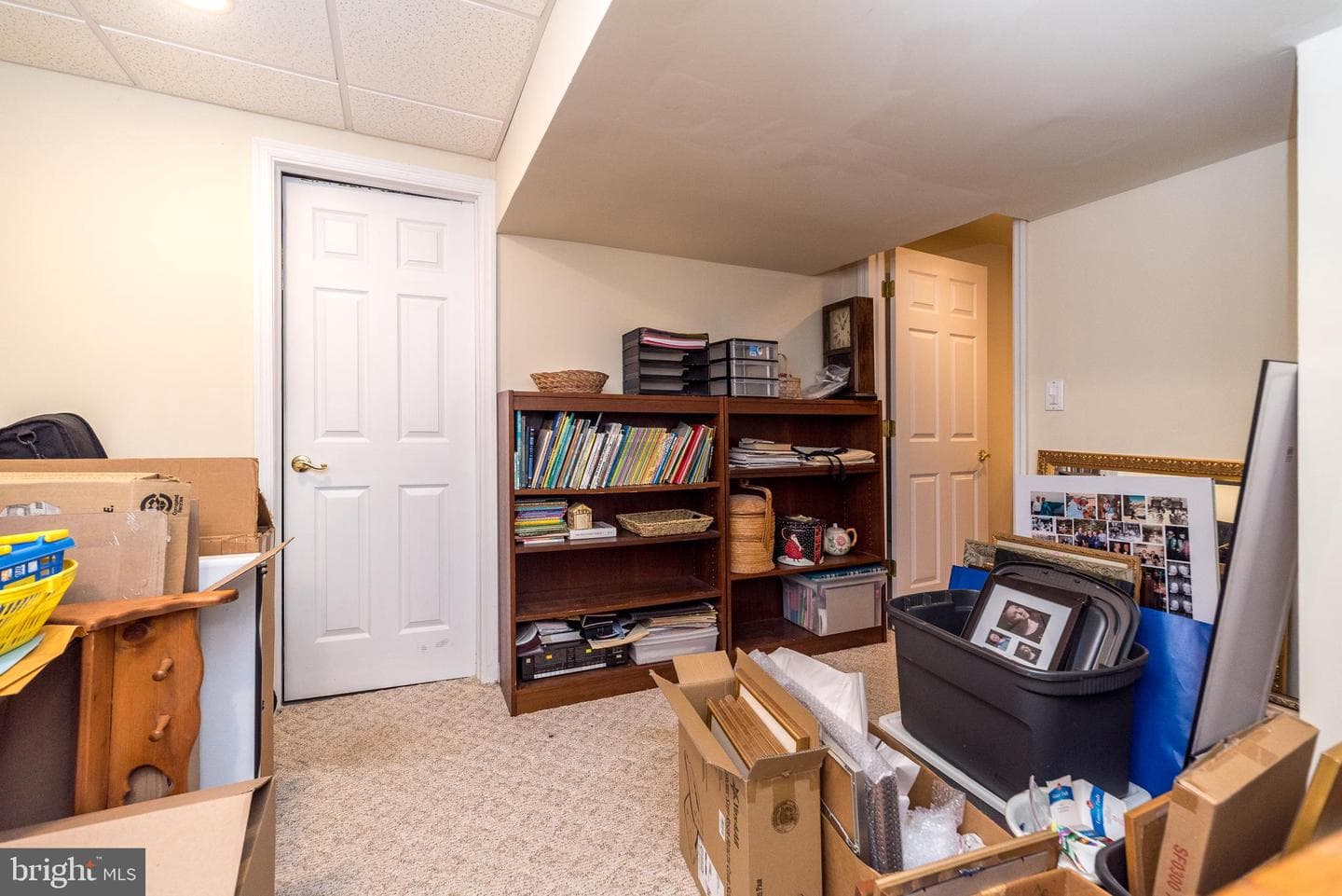 904 Filly Circle photo 44