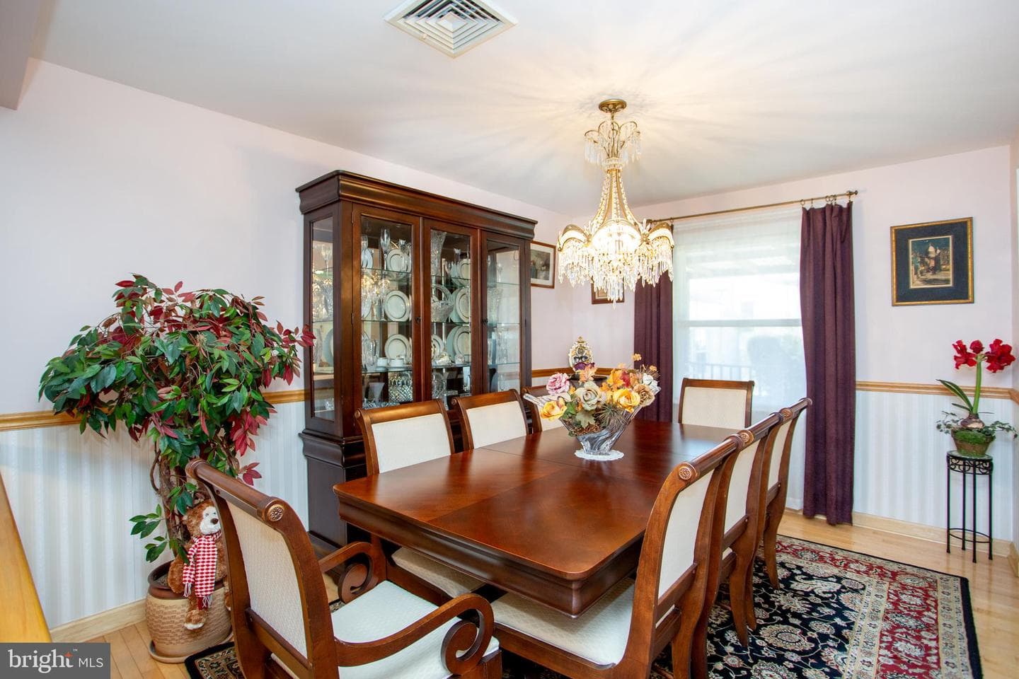 48 Hershel Street photo 16