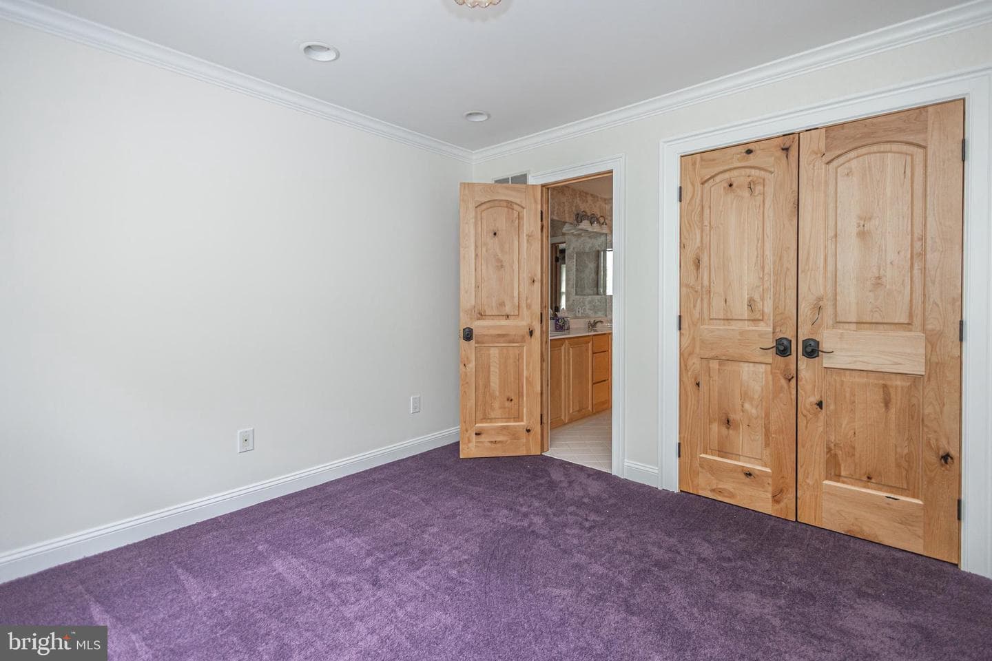 21 Bellinghamshire Place photo 63