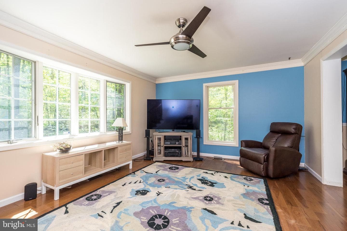 540 Black Walnut Drive photo 20