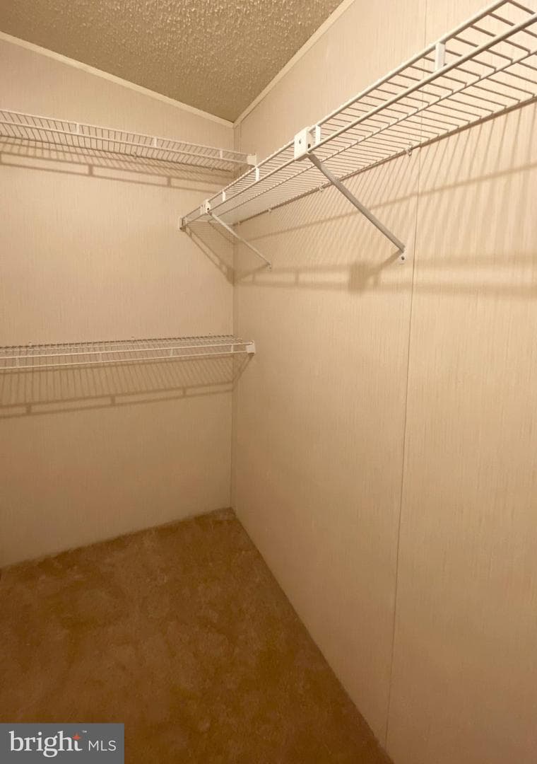 449 Grouse Court W photo 28