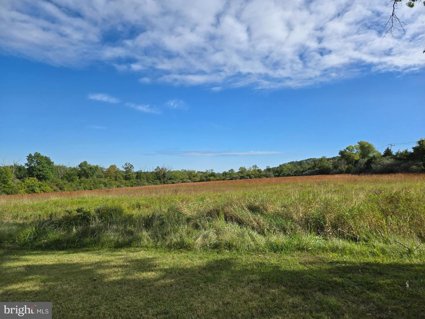 3605 Windy Bush Road photo 7