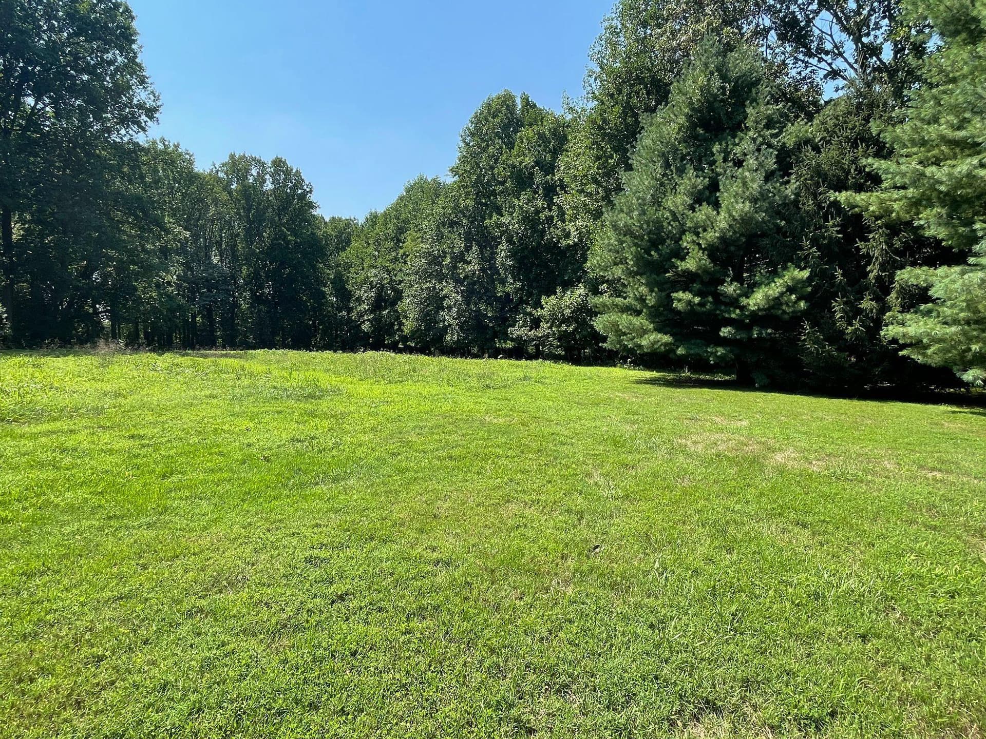 1830 Buck Rd photo 47