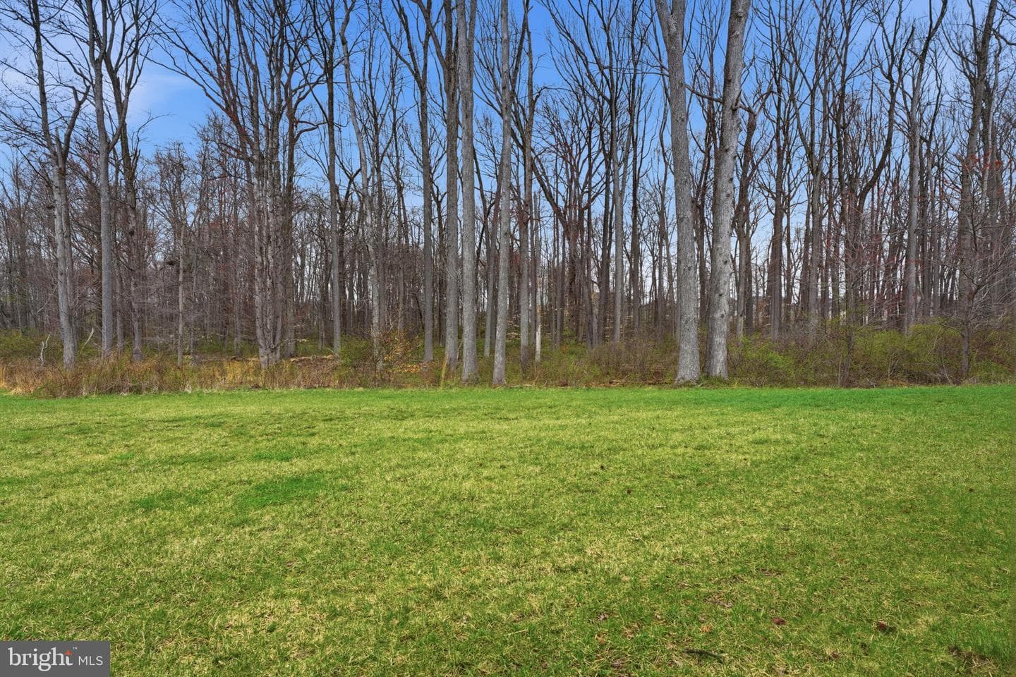 41 Griffin Way photo 32