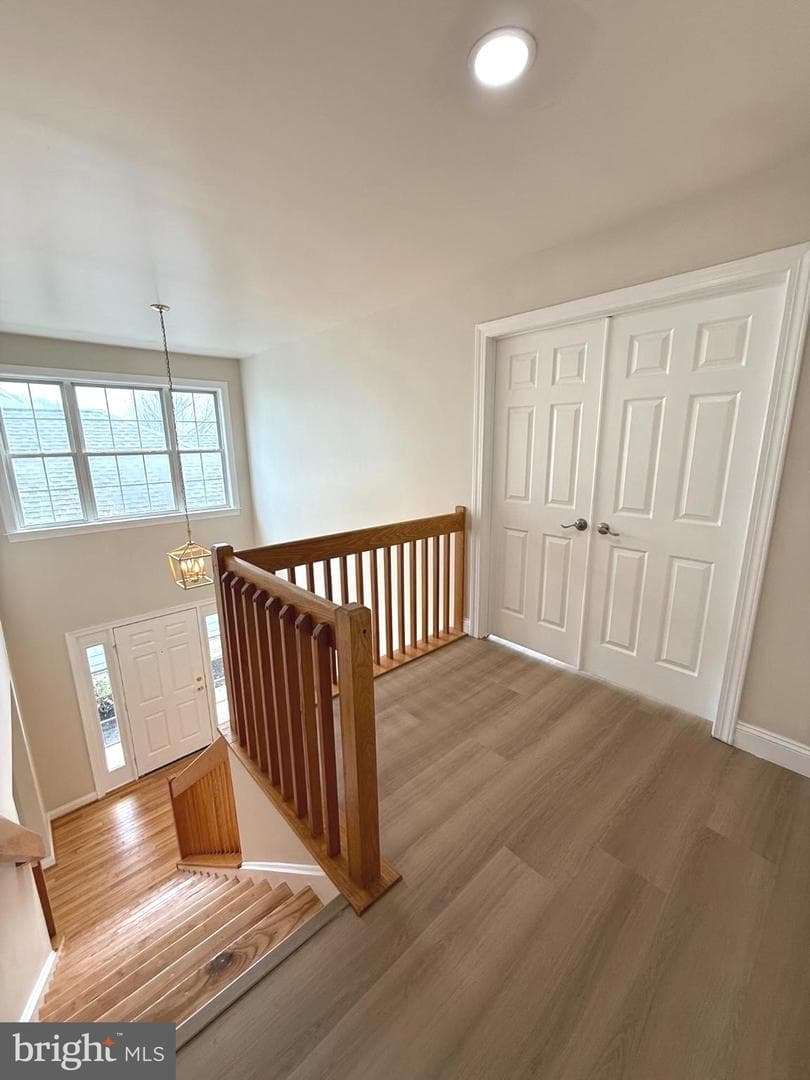548 Palmer Farm Drive photo 38