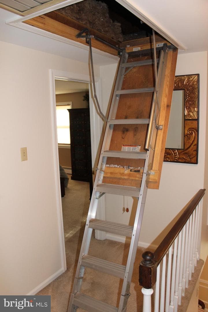 6 Tiffany Drive photo 73
