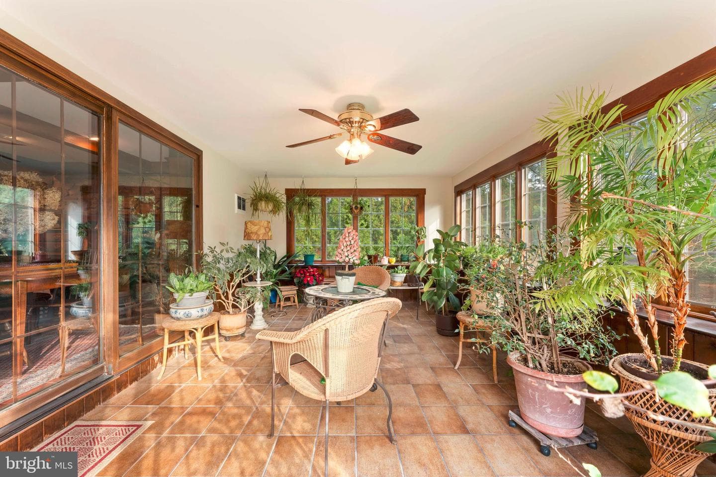 111 Cedar Glen Drive photo 23