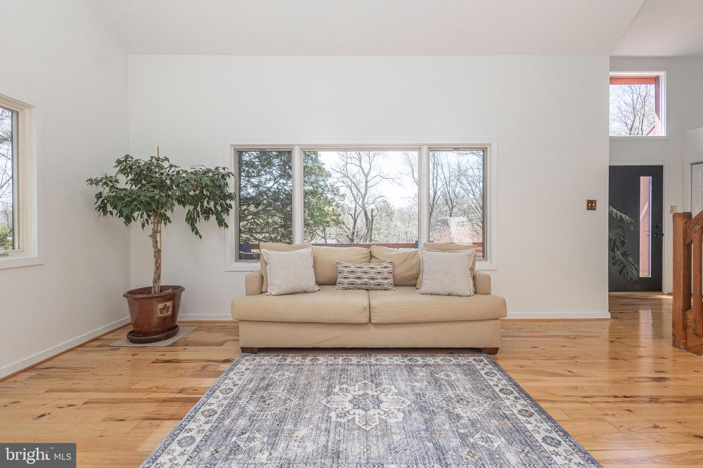 101 Rogers Road photo 18