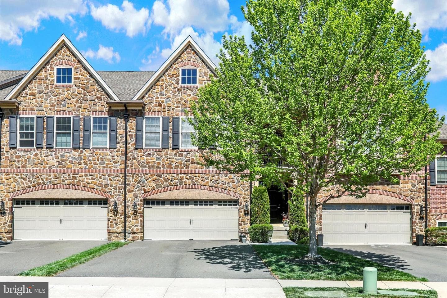 49 David Drive