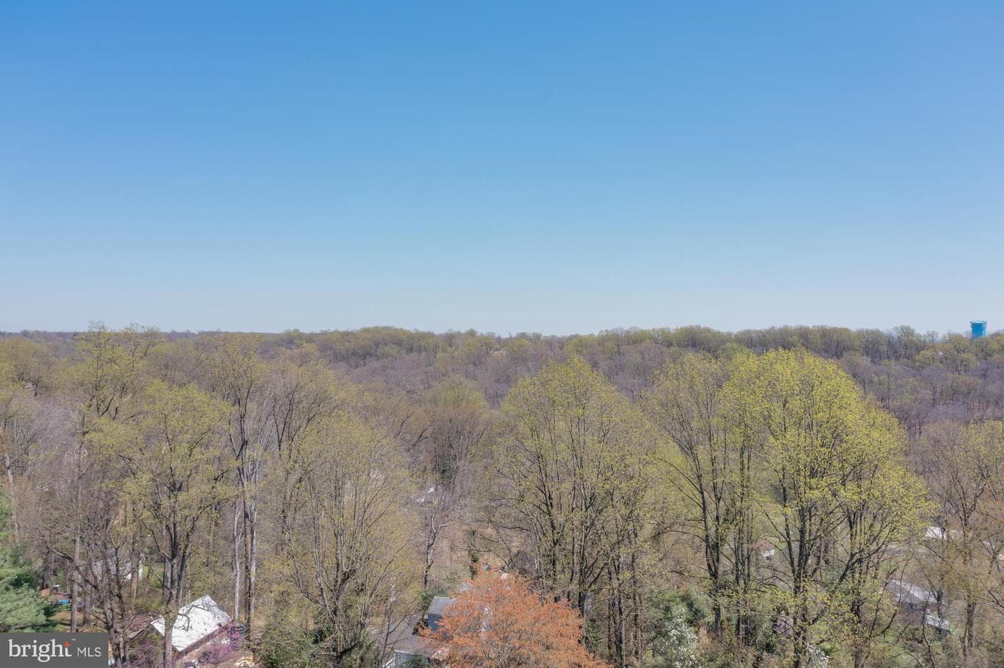 225 Buttonwood Drive photo 41