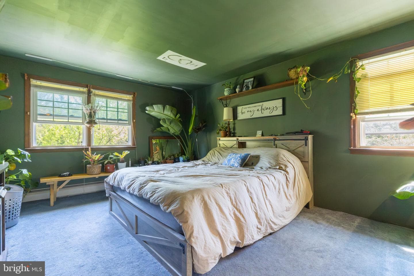 255 Park Drive W photo 14