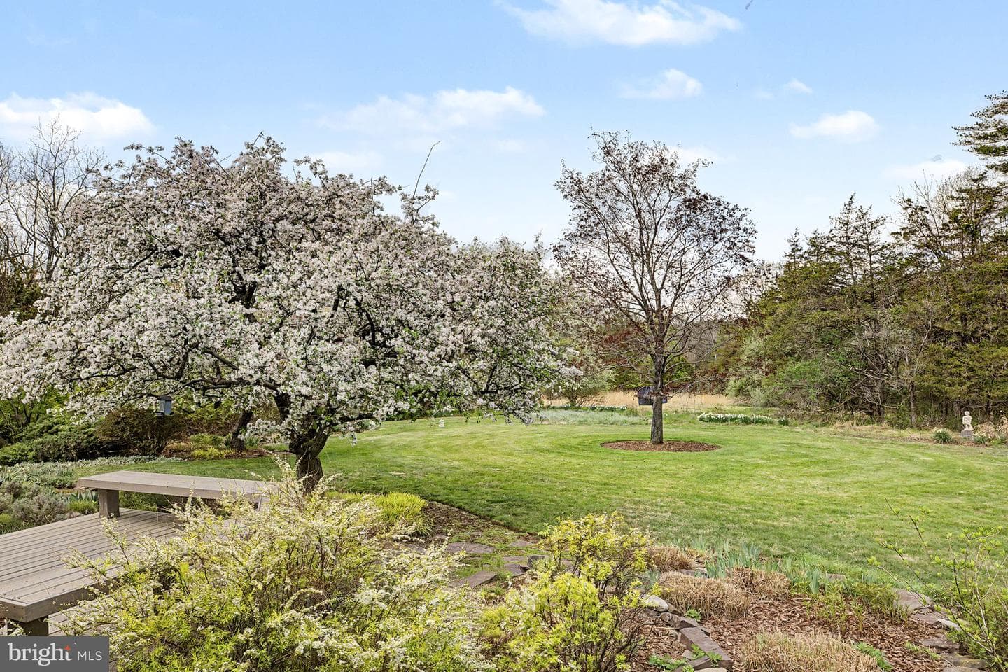 542 Headquarters Road photo 63