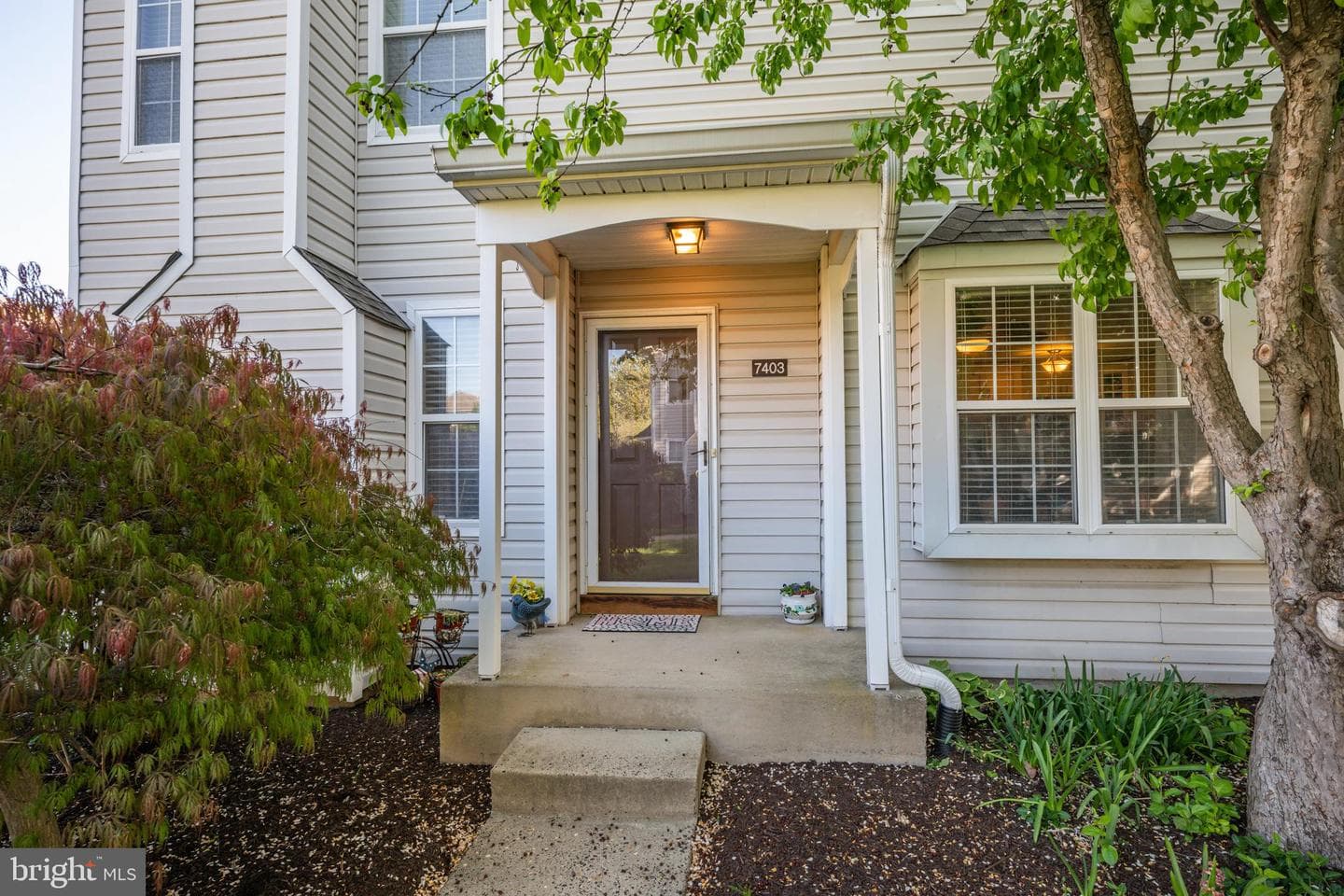7403 Spruce Mill Drive photo 3