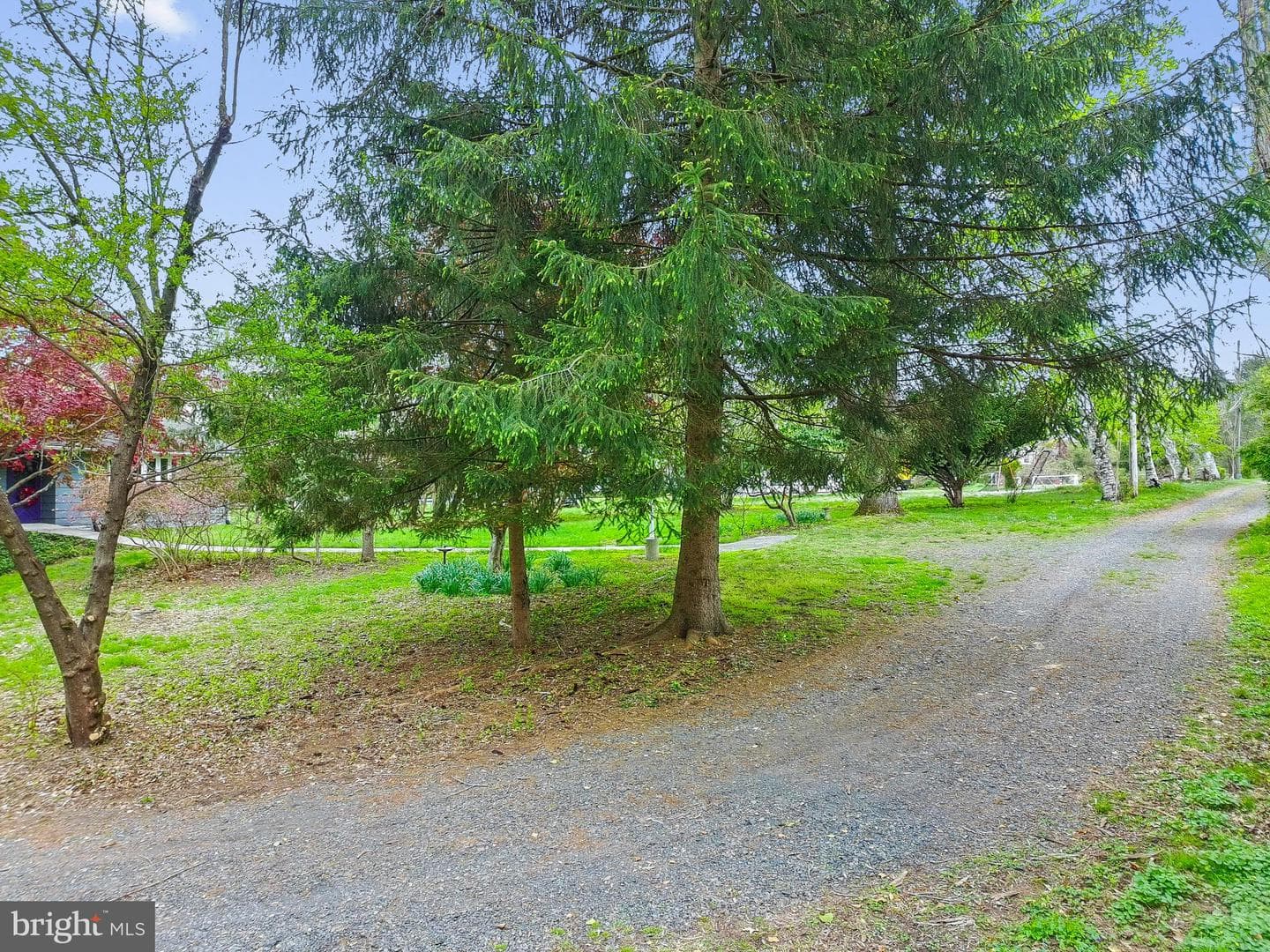 105 Spring Avenue photo 41