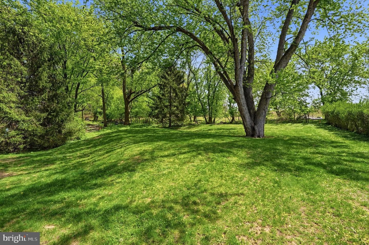 120 Lehigh Drive photo 41