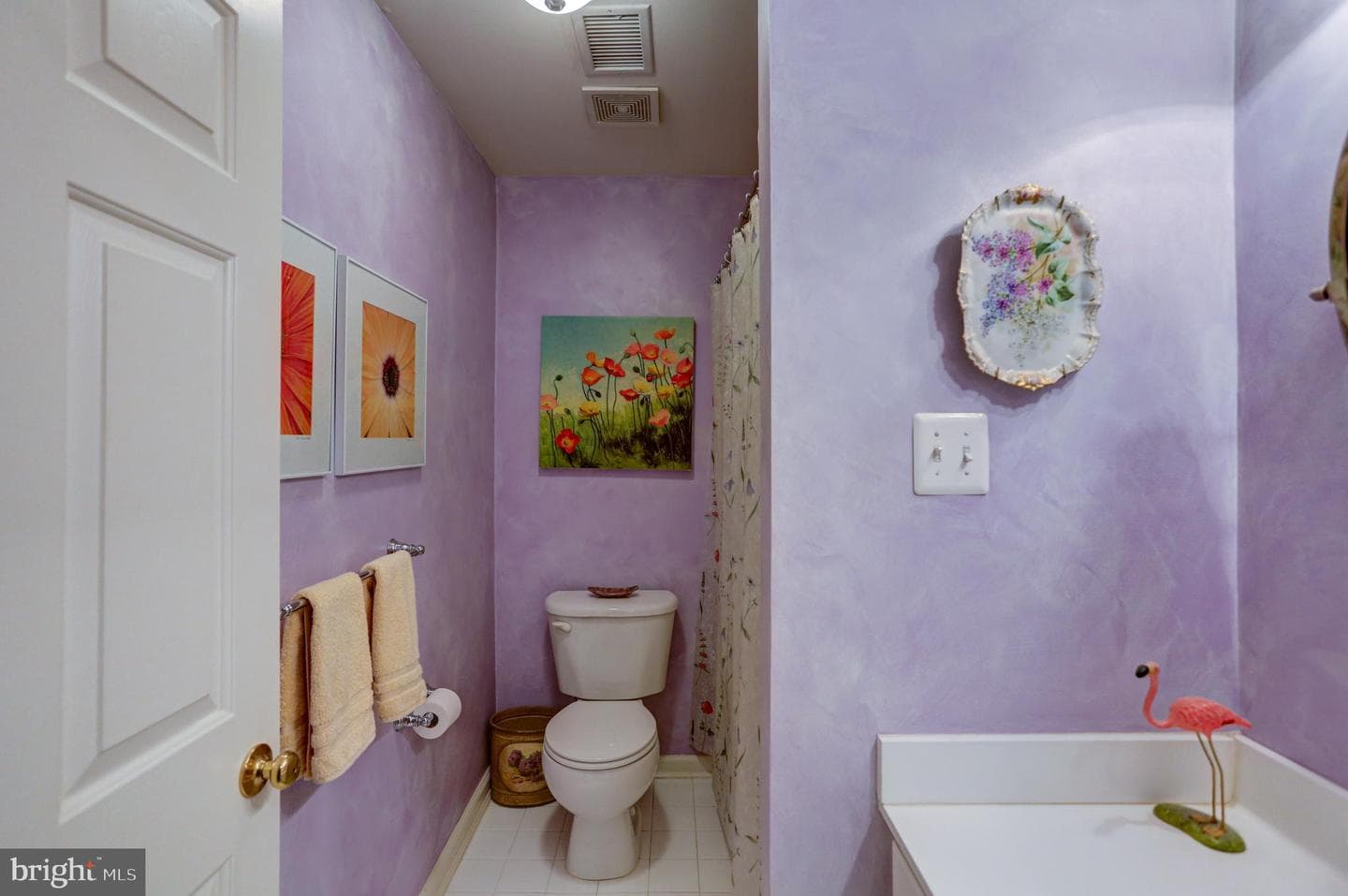 13 Doyle Street photo 26