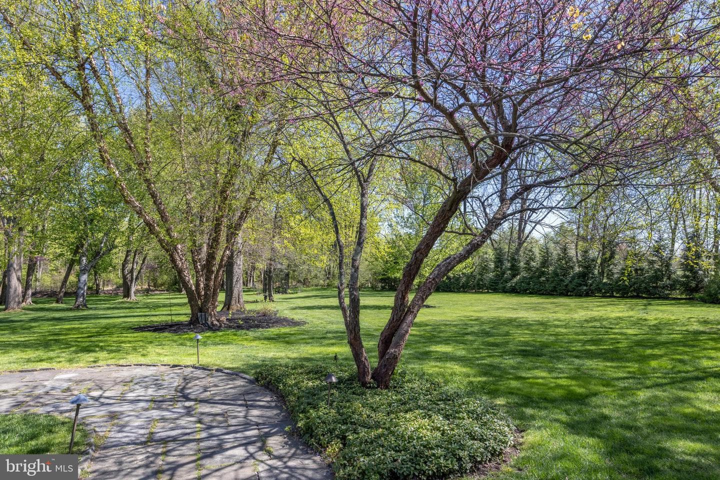 5447 Carversville Road photo 54