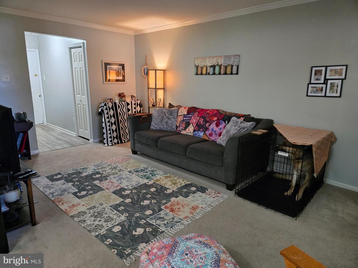 178 Elephant Road #b13 photo 2