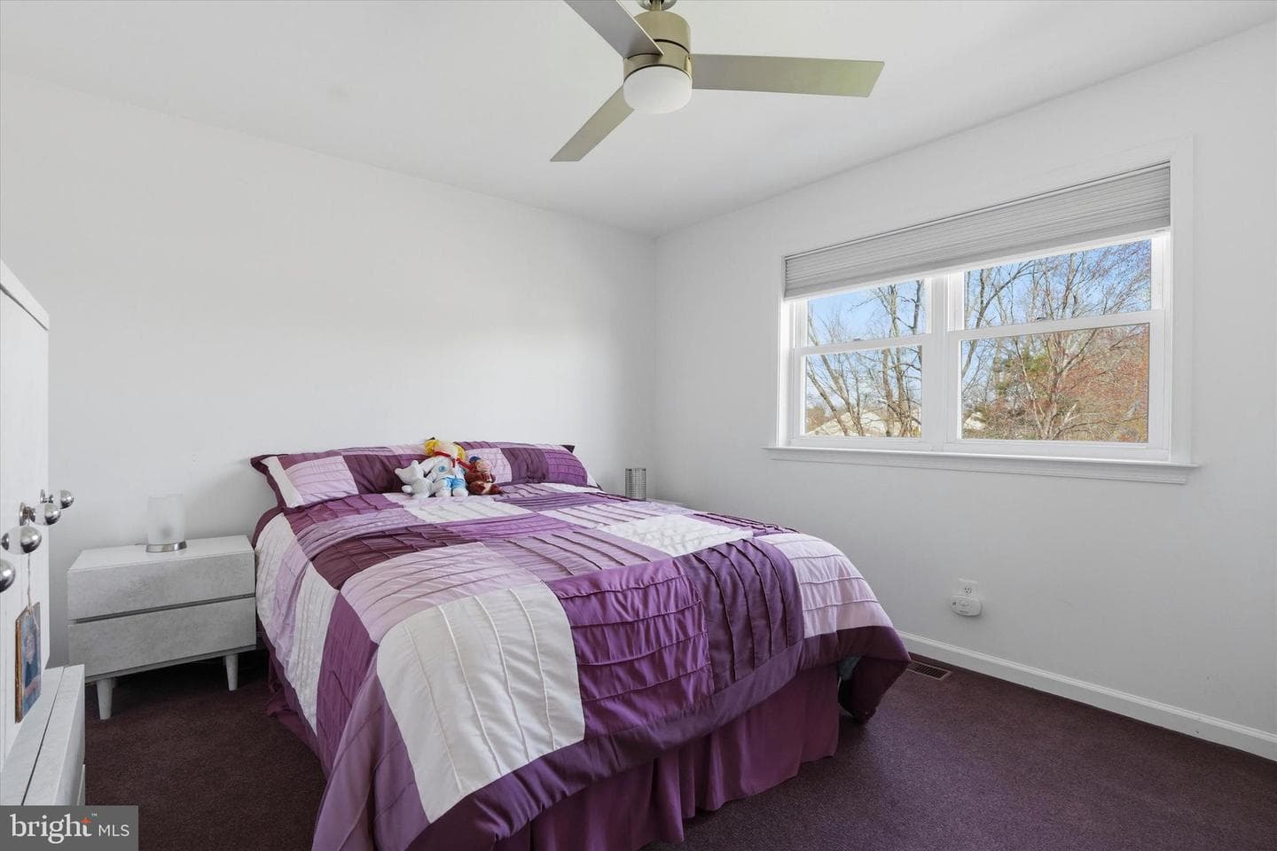 81 Shelley Road photo 22