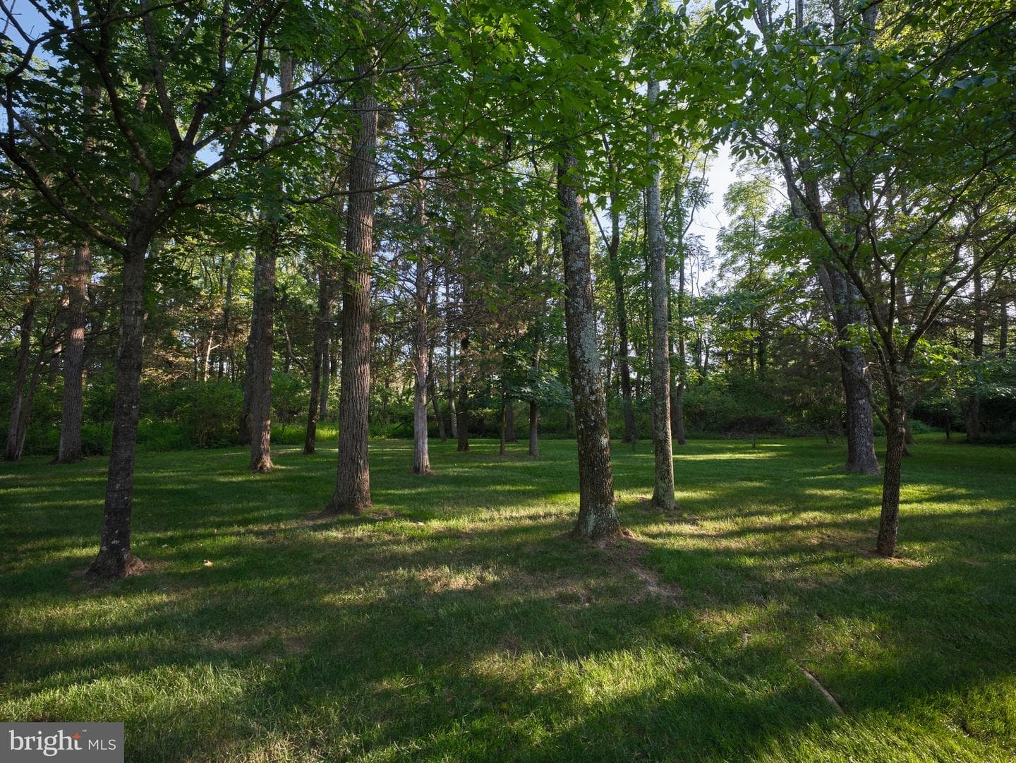 4029 Devonshire Drive photo 50
