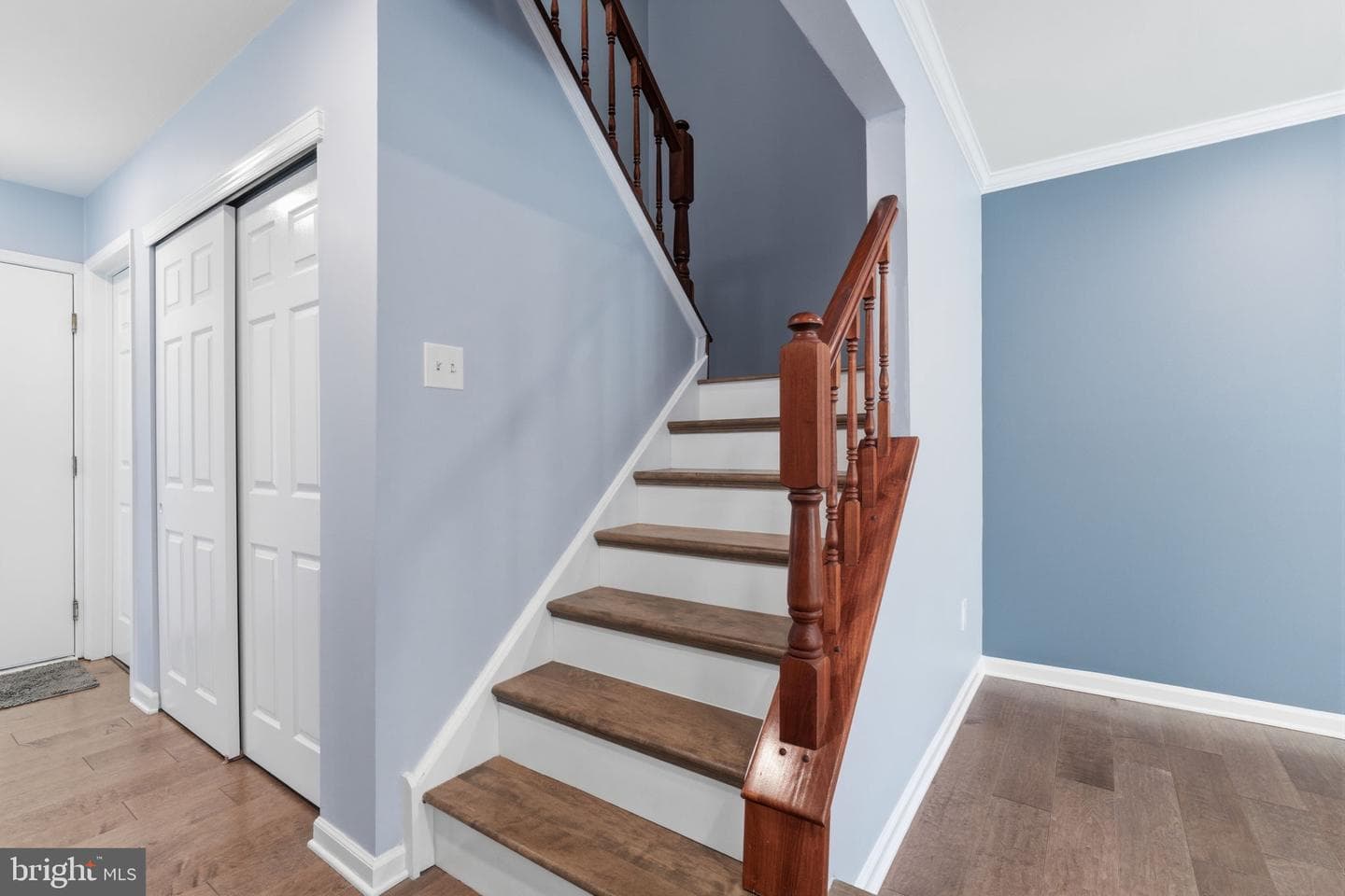 7 Randolph Court photo 22