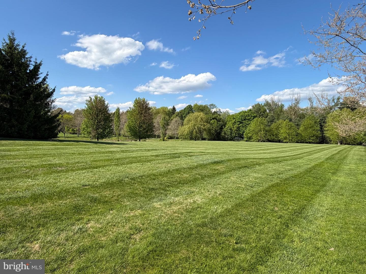 104 Meadowview Drive photo 66