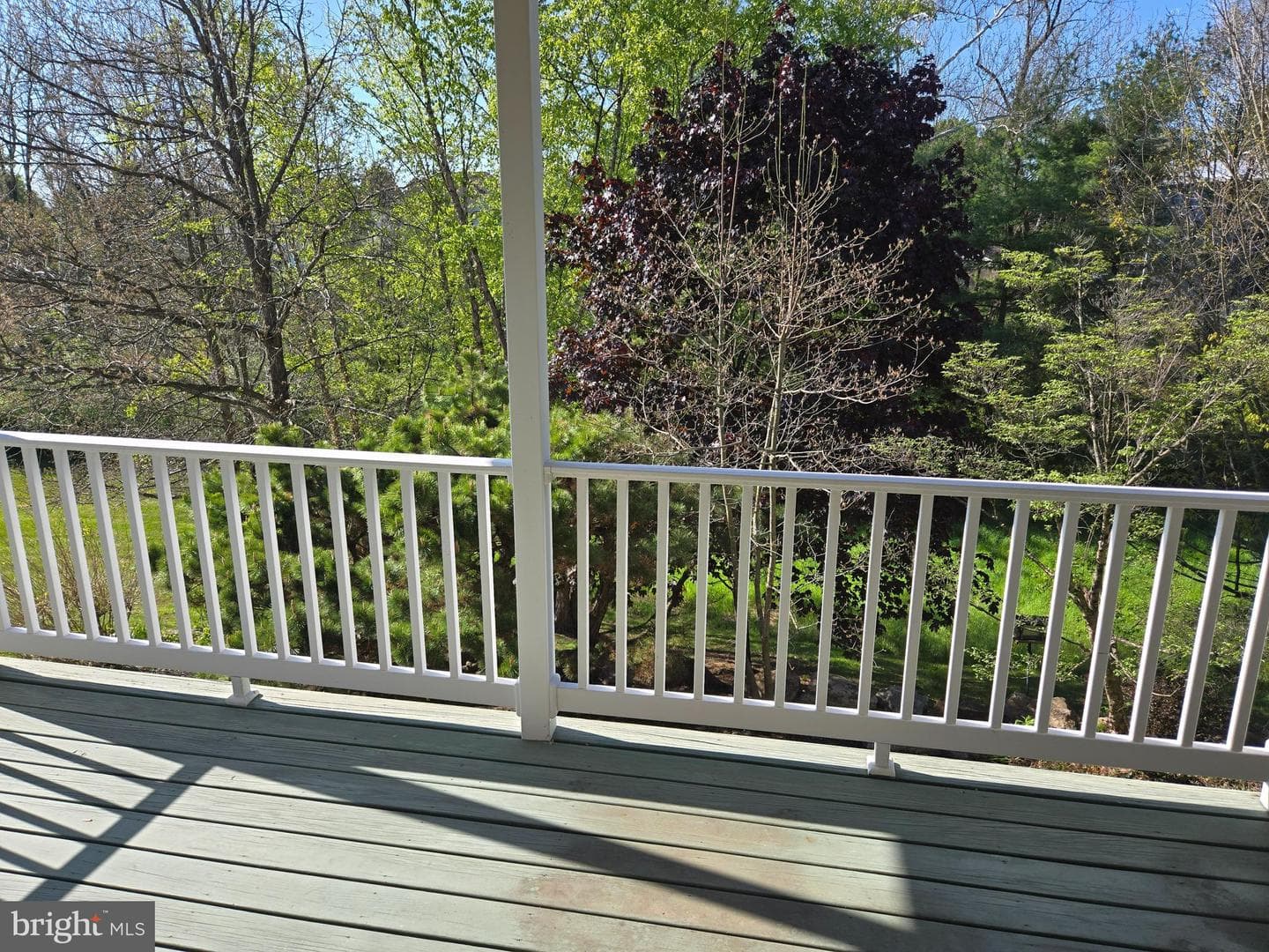 424 Snowy Owl Lane photo 11