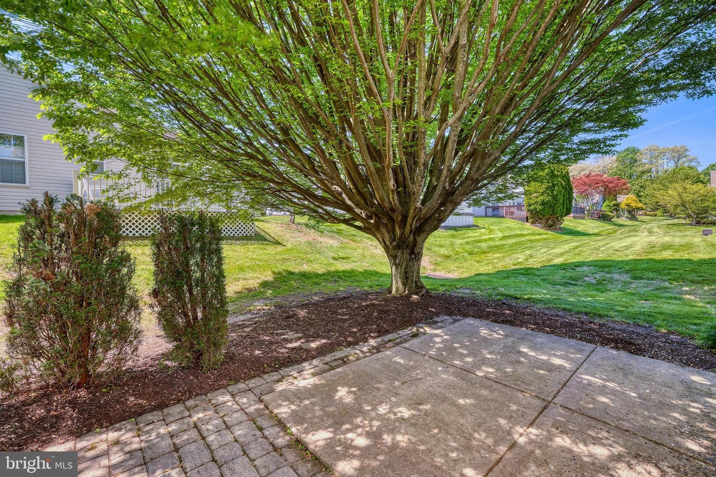17 Black Eyed Susan Road photo 6