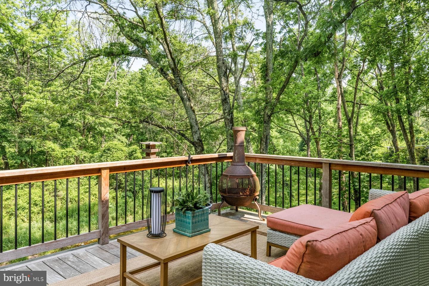 9 Blueberry Lane photo 68