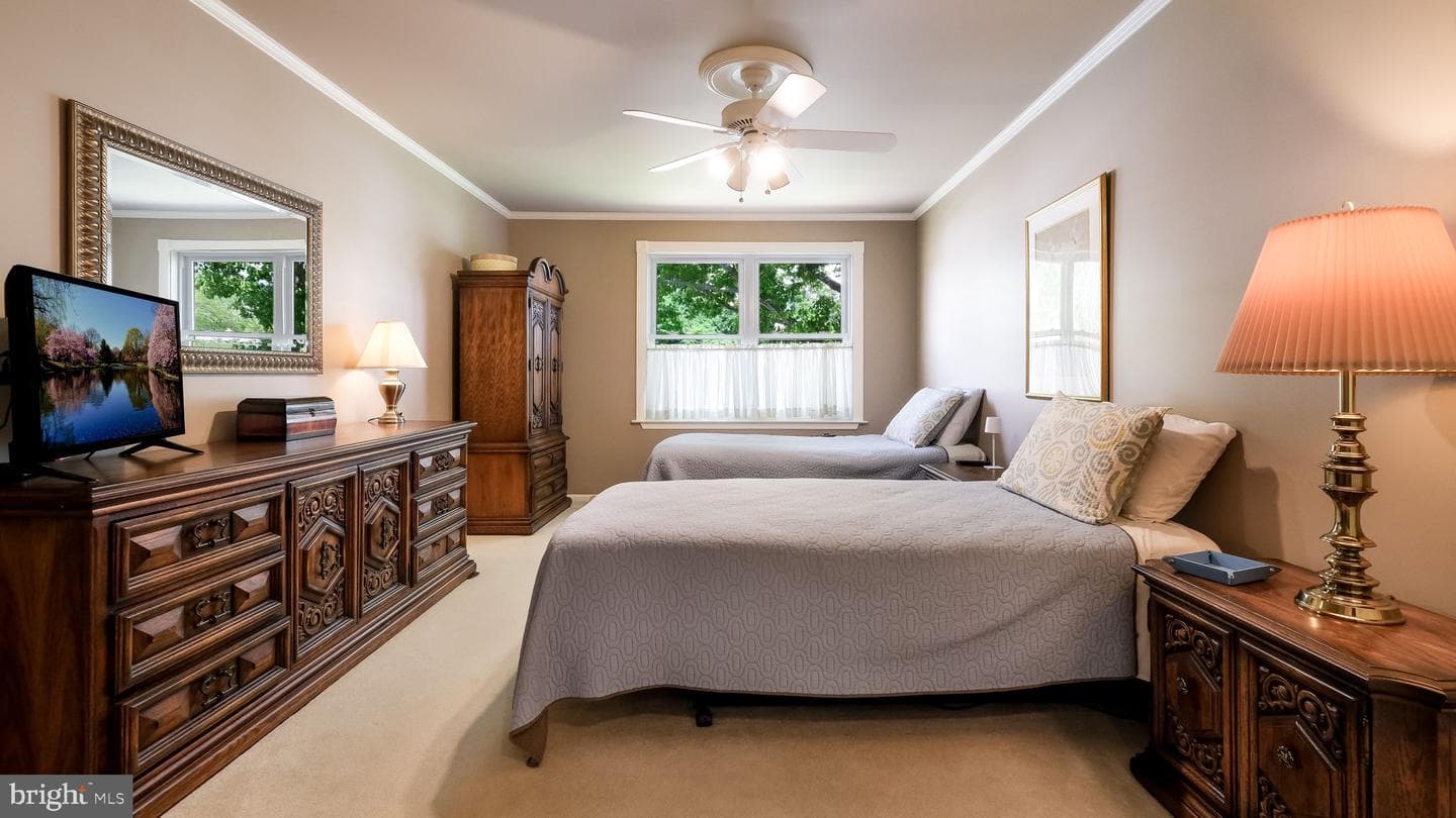 74 Basil Road photo 20