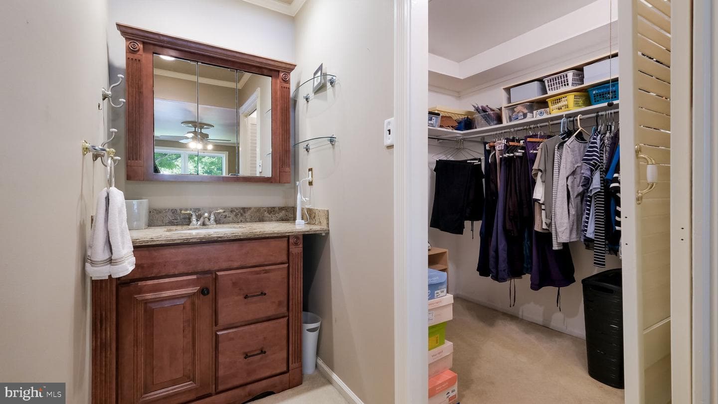 74 Basil Road photo 21