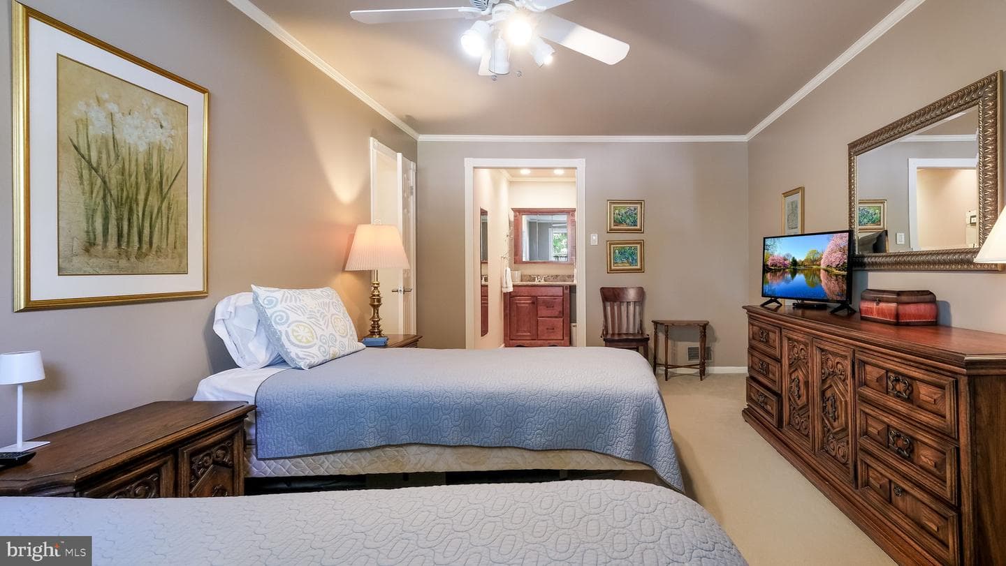 74 Basil Road photo 23