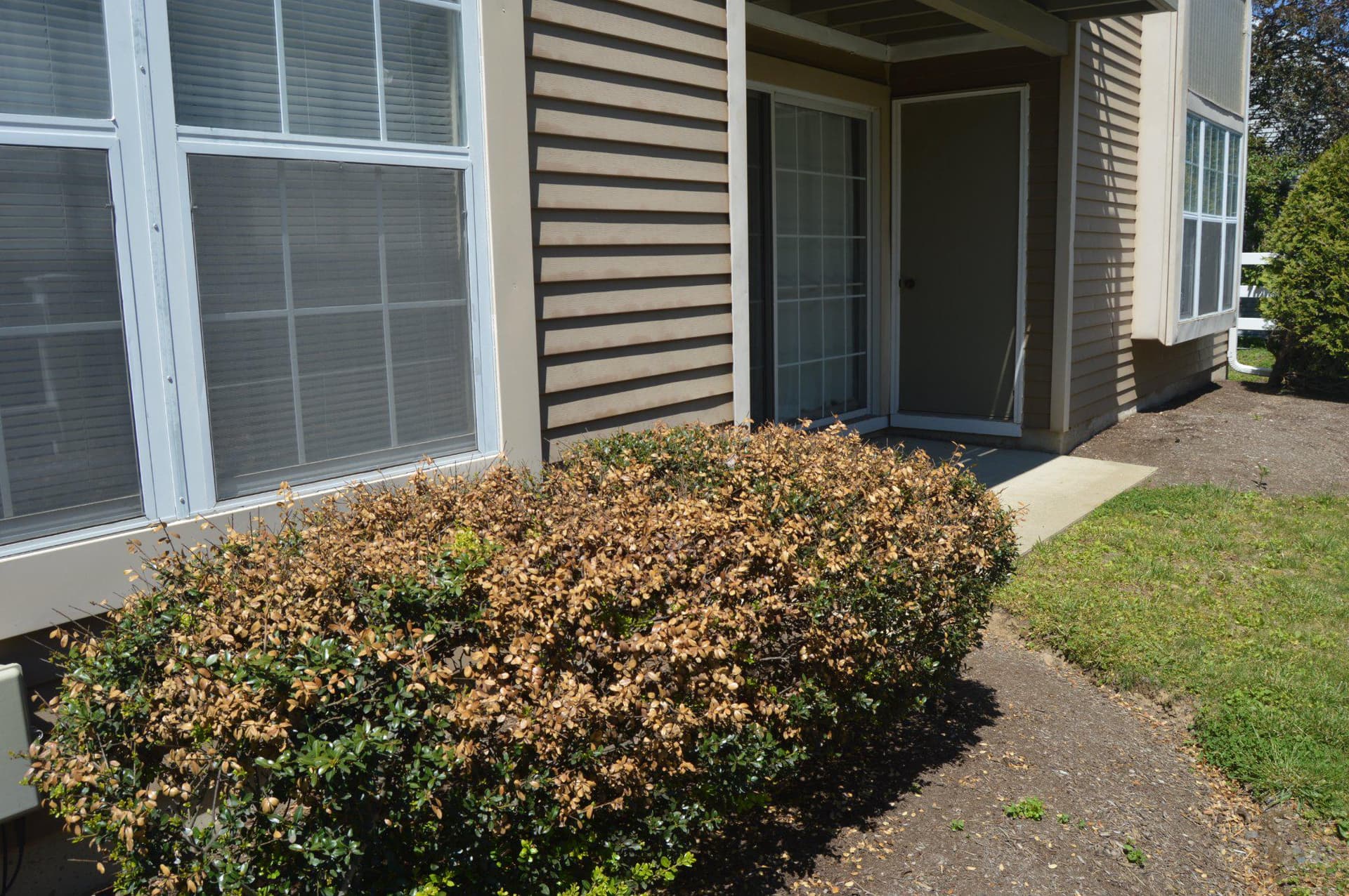 1603 Society Place photo 20