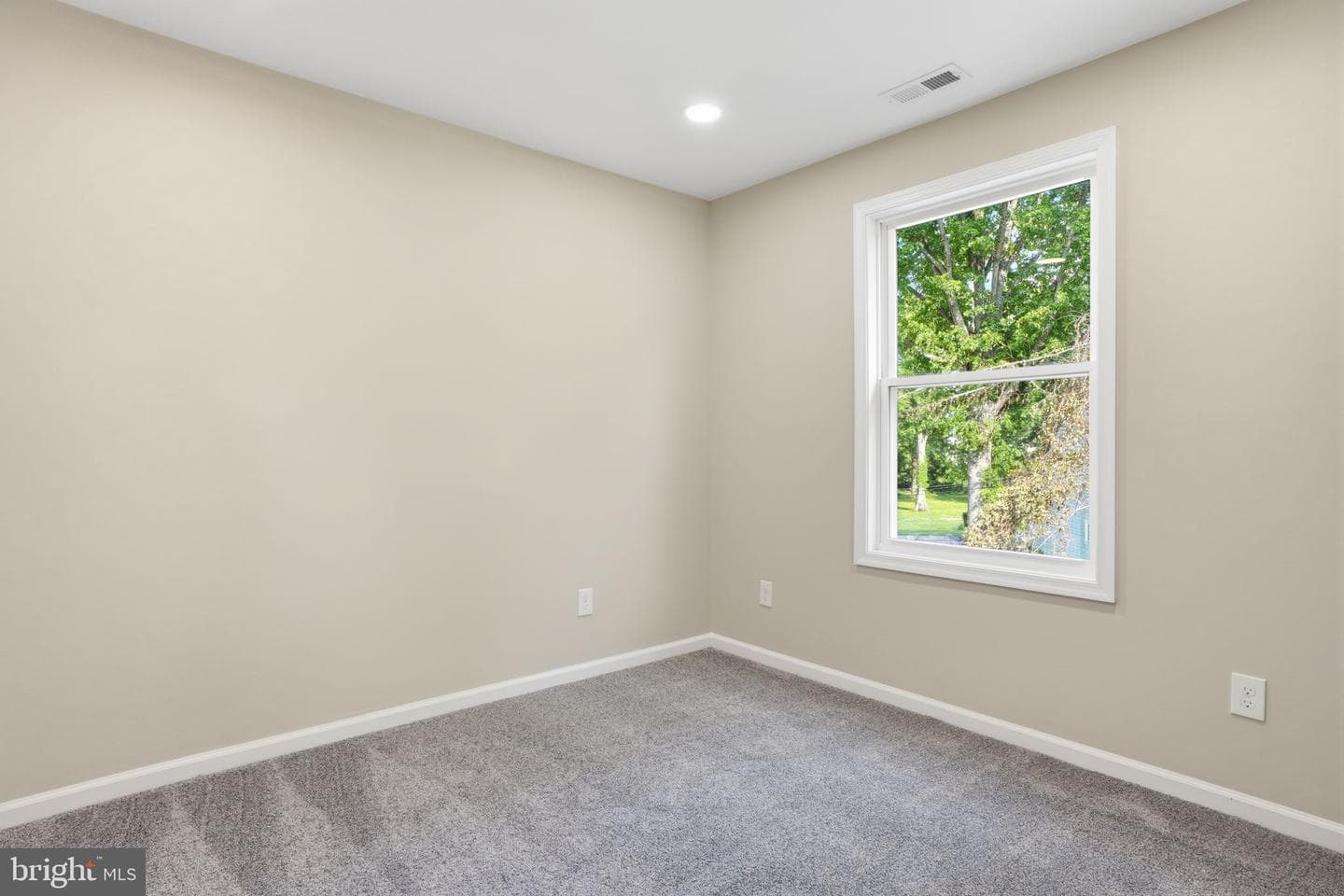 22 Peppermint Rd photo 29