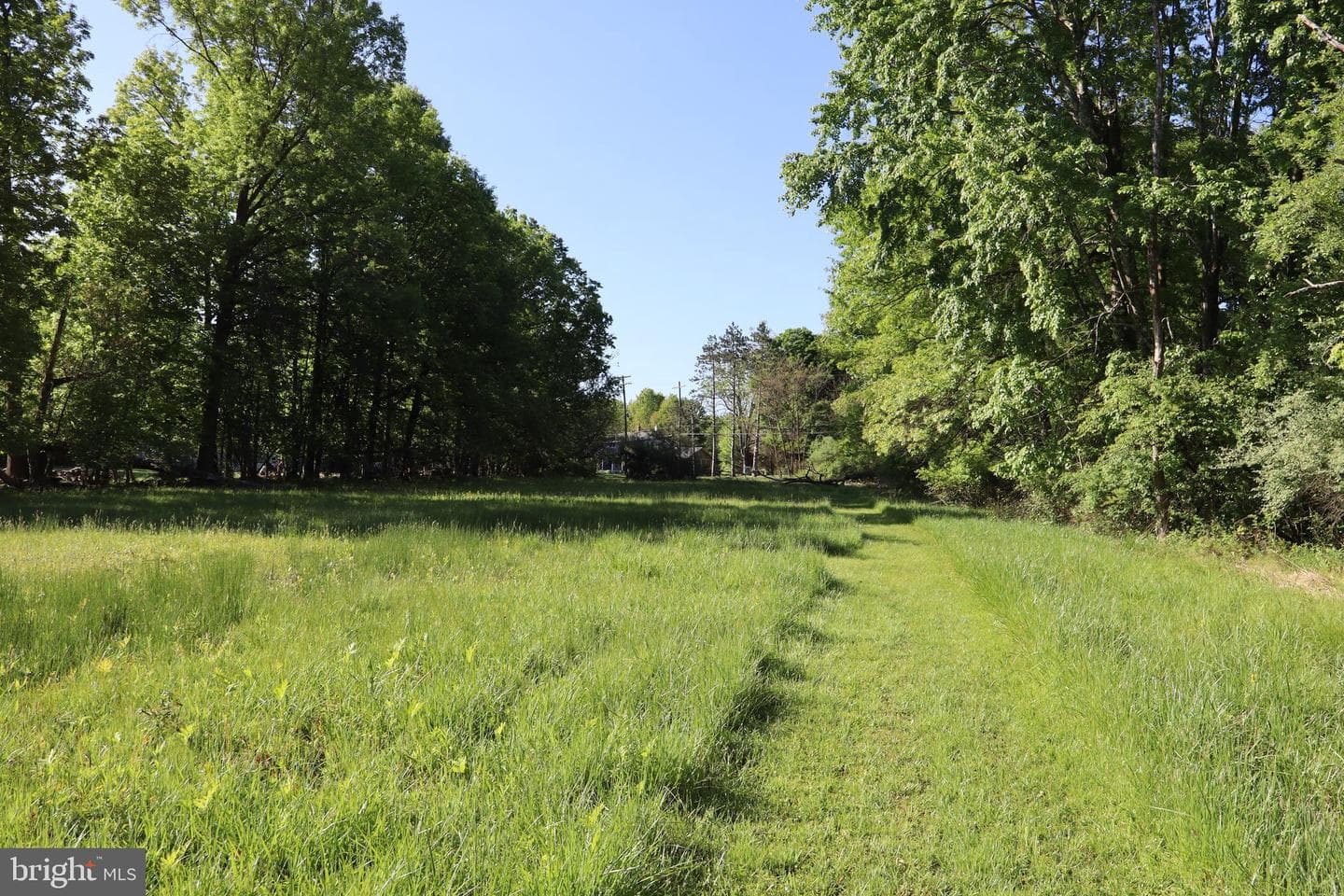 1603 Chestnut Ridge Road photo 39
