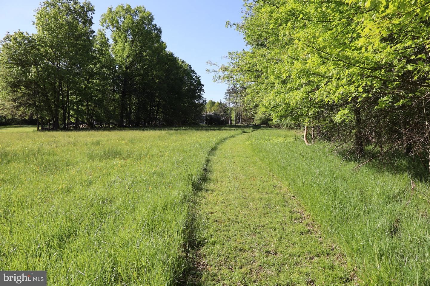 1603 Chestnut Ridge Road photo 40
