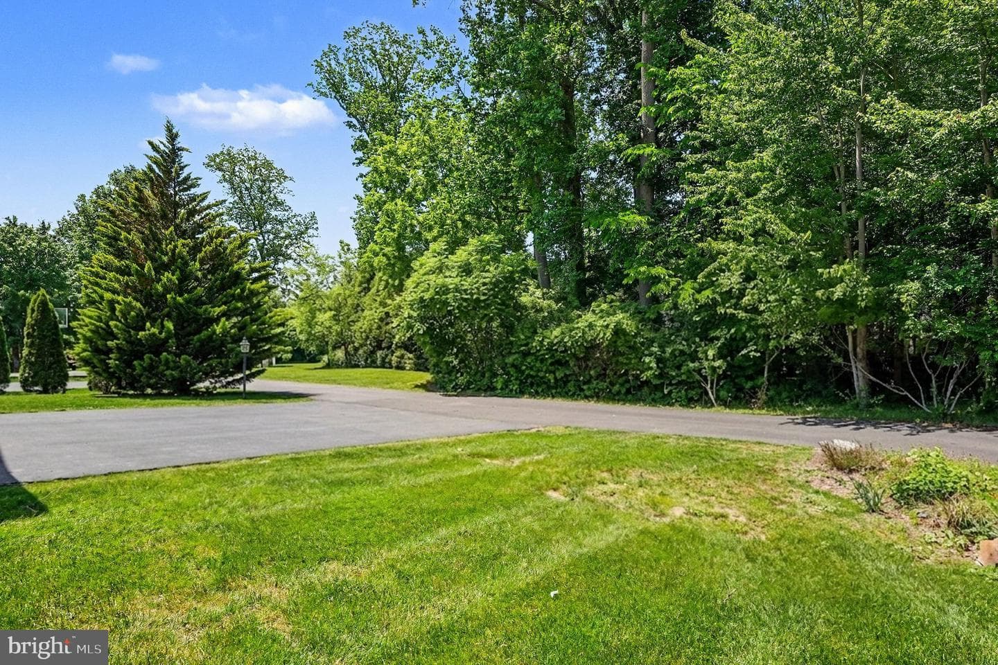 3836 Taylortown Road photo 59