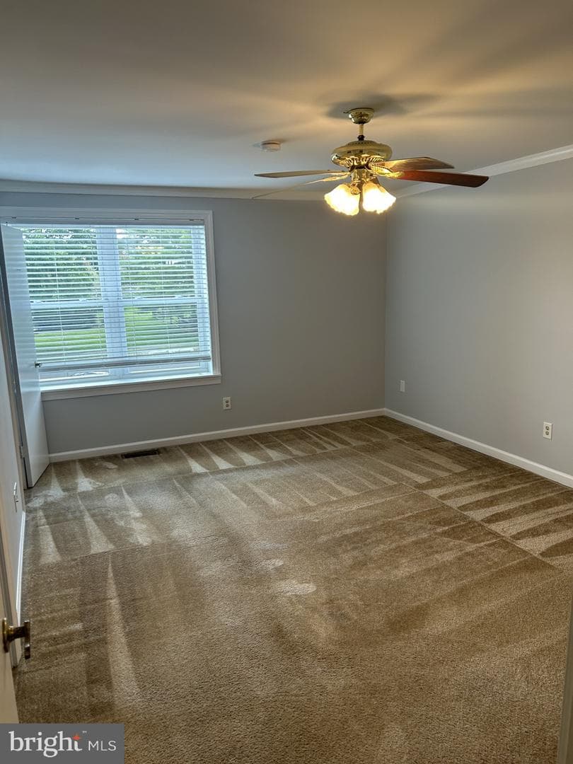 937 Bancroft Place photo 12