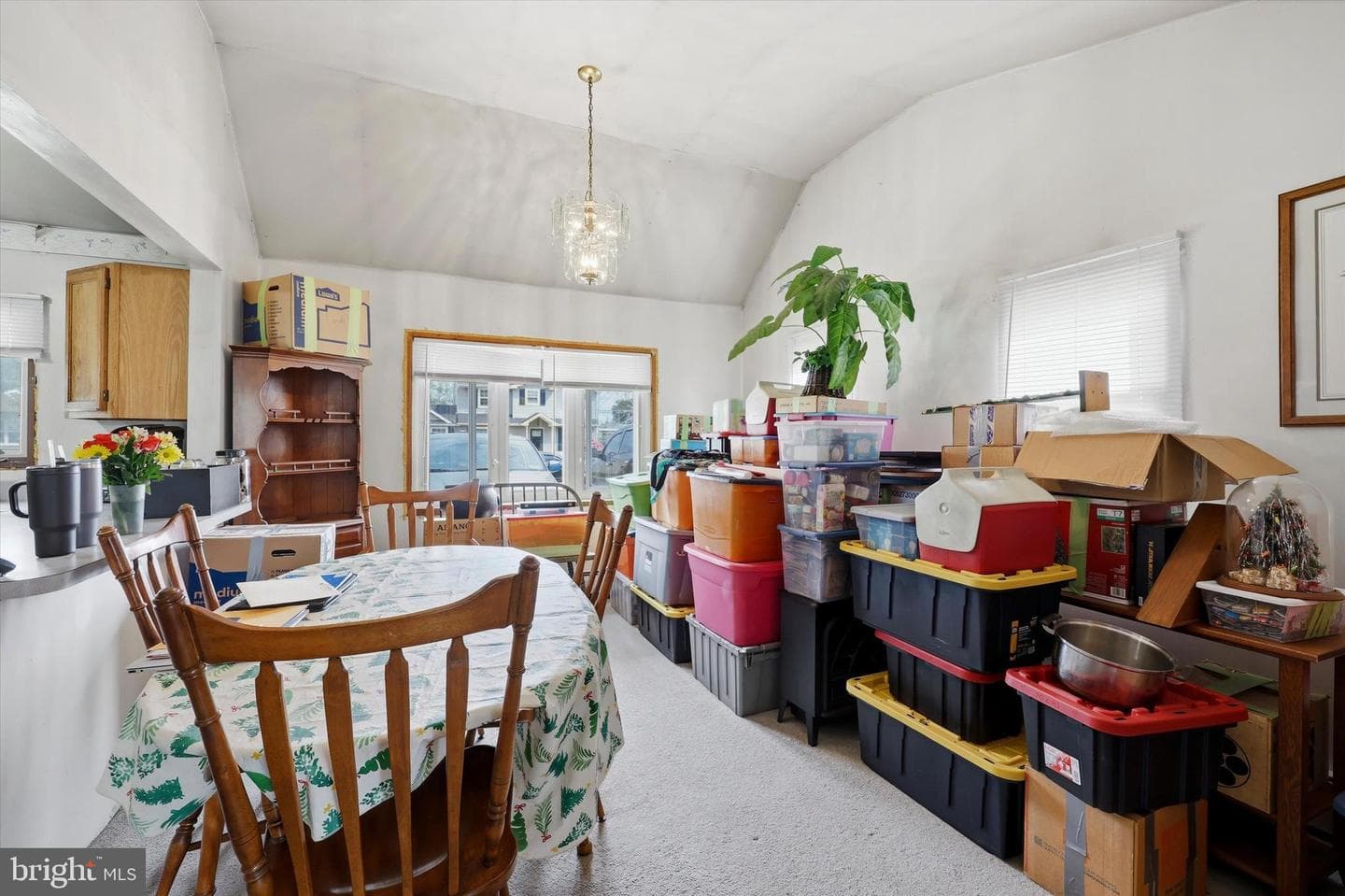 59 Coral Lane photo 7