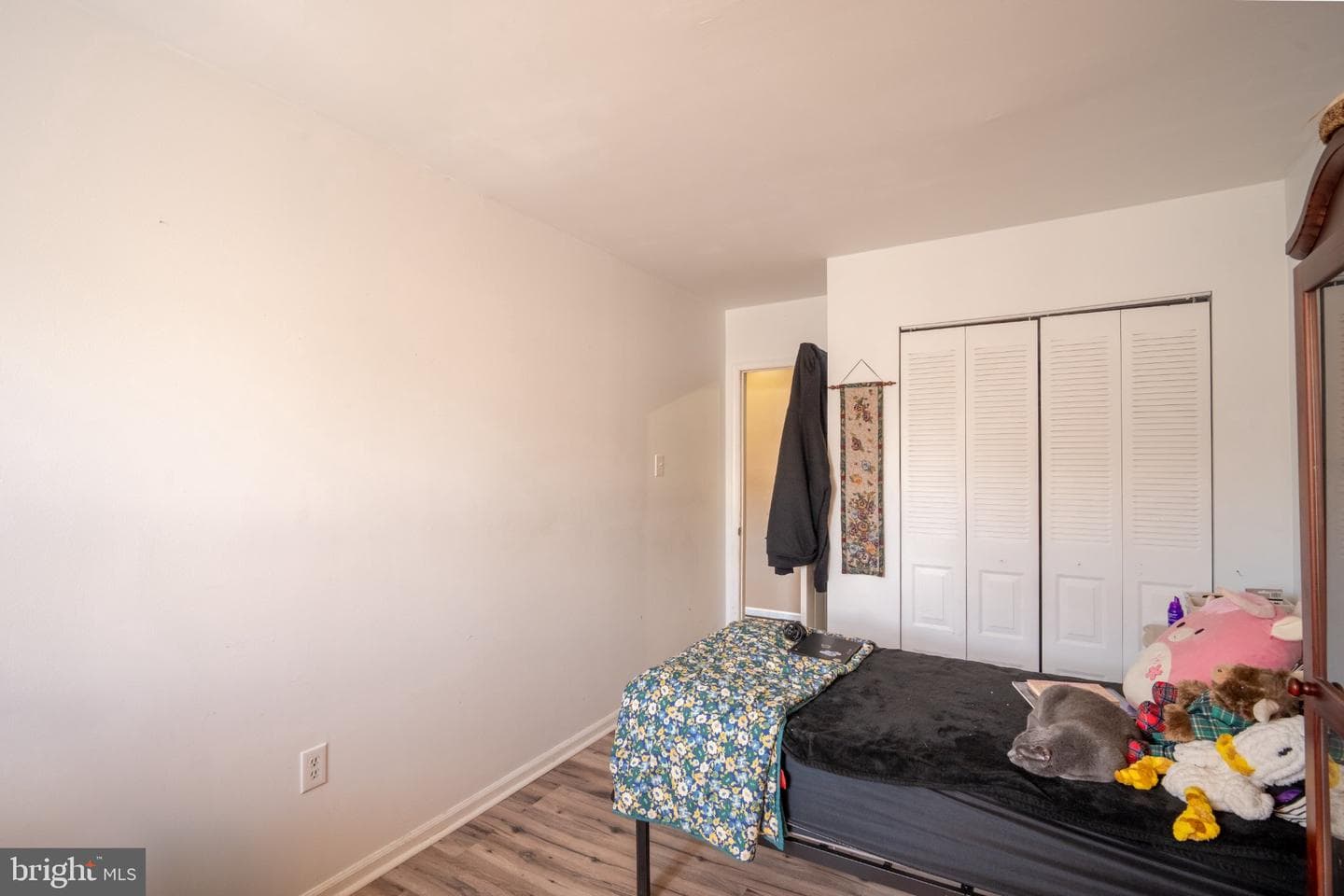 7 Naylor Court photo 19