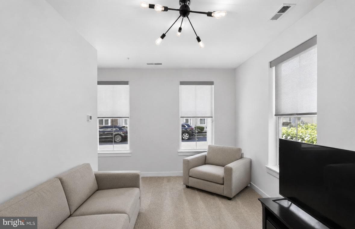 127 Prince George Street photo 4