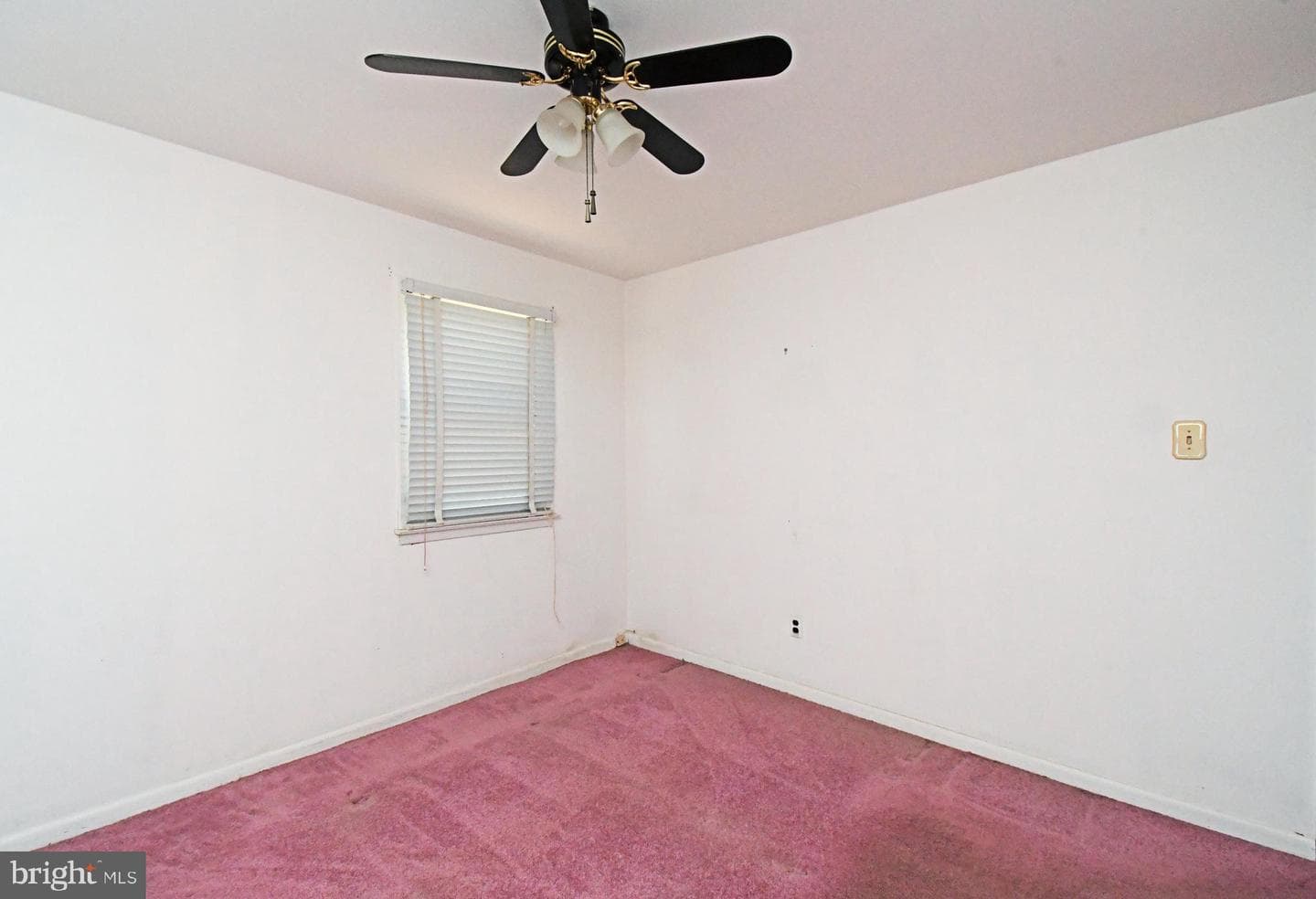 2903 Windsor Drive photo 21
